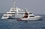 Golden-Osprey-with-Mother-Ship-Golden-Odyssey 01AA-web